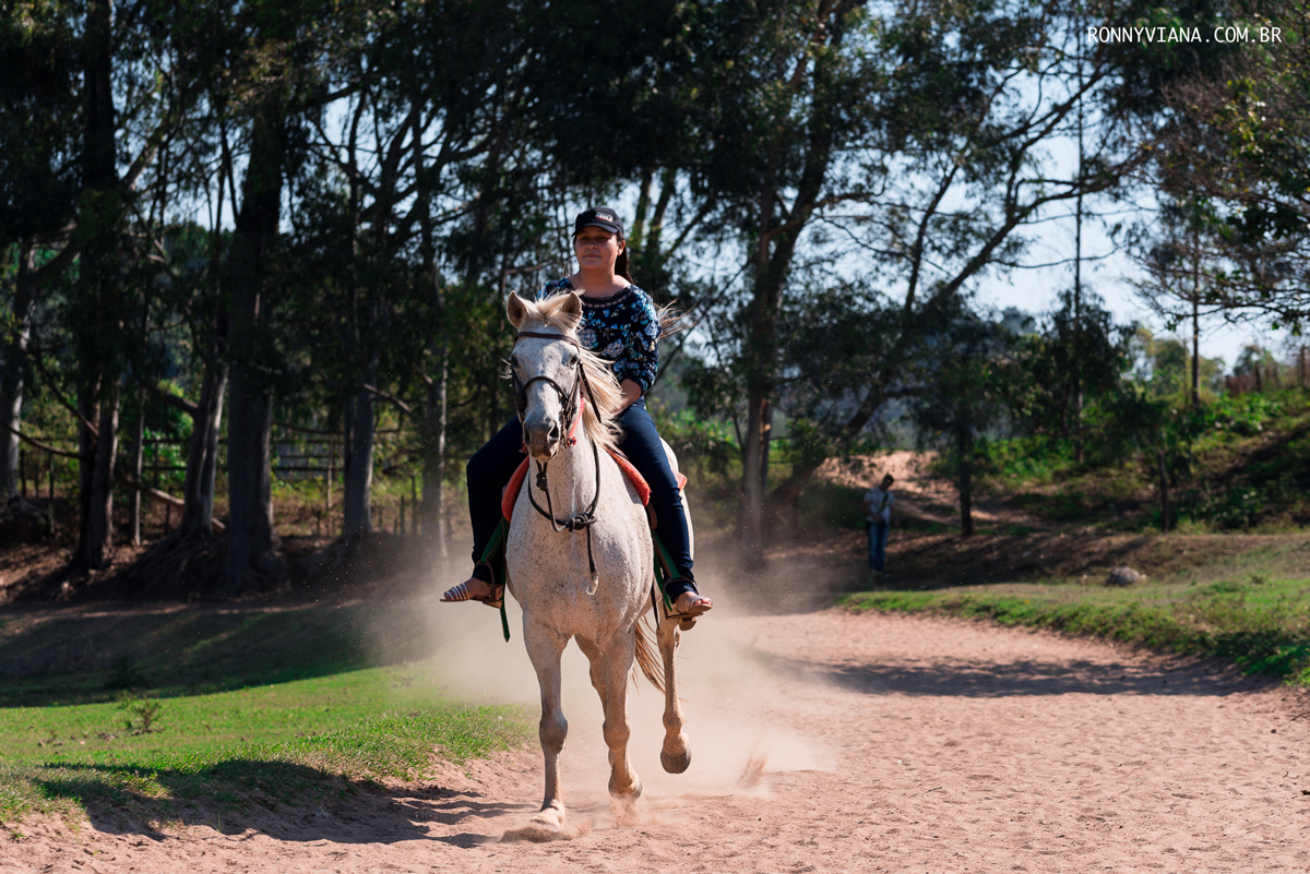 cavalo branco de corrida em itu