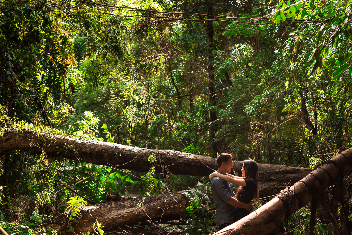 book entre as arvores apos chuva em piracicaba sp