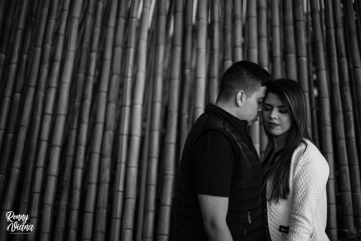 Fotografia pré wedding no Frio ideias criativas