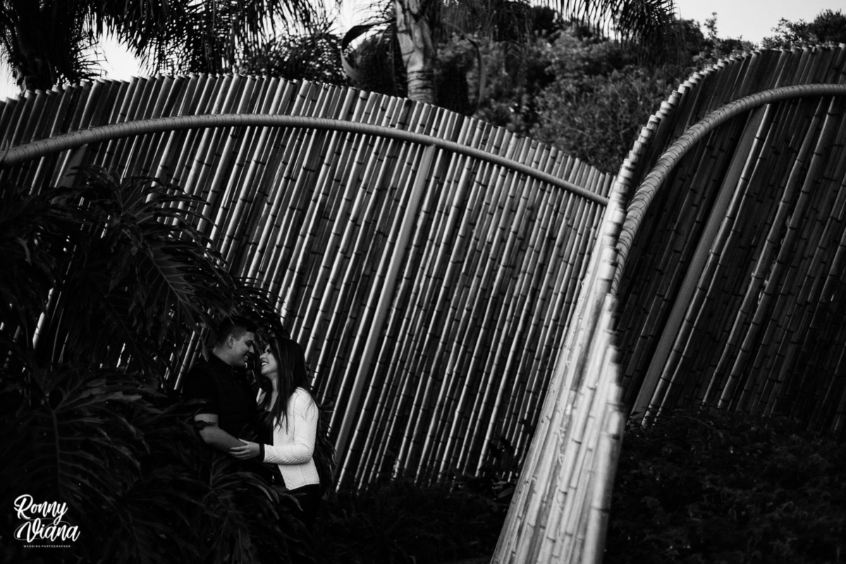 fotografia de ensaio pre wedding por Ronny Viana Fotografo de casamento em Curitiba PR 
