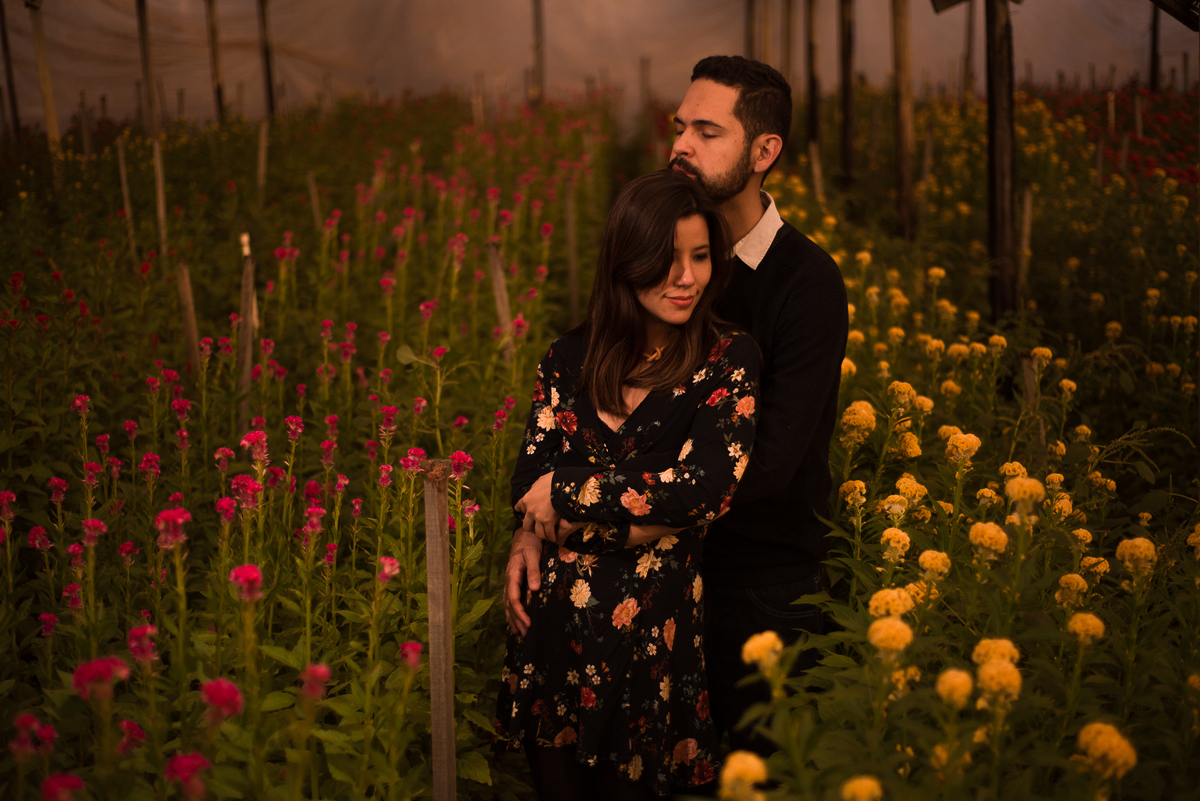 Casamento na plantação de Tulipas amarelas em Holambra SP por Ronny Viana fotografia 