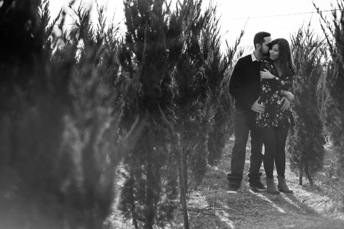 Fotografia de Pinheirinho em ensaio Pre Wedding em Holambra SP por Ronny Viana Fotografia