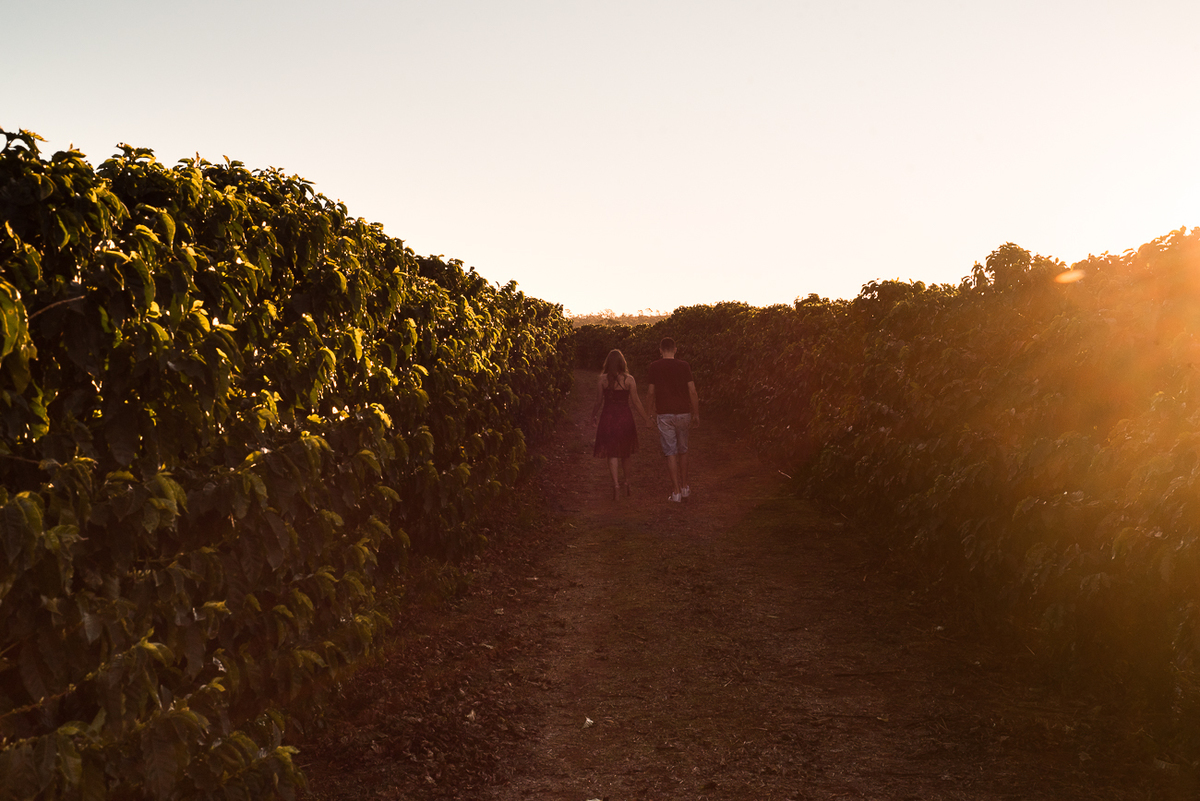 casal caminhando no por do sol em brotas sp por Ronny Viana foto e filme