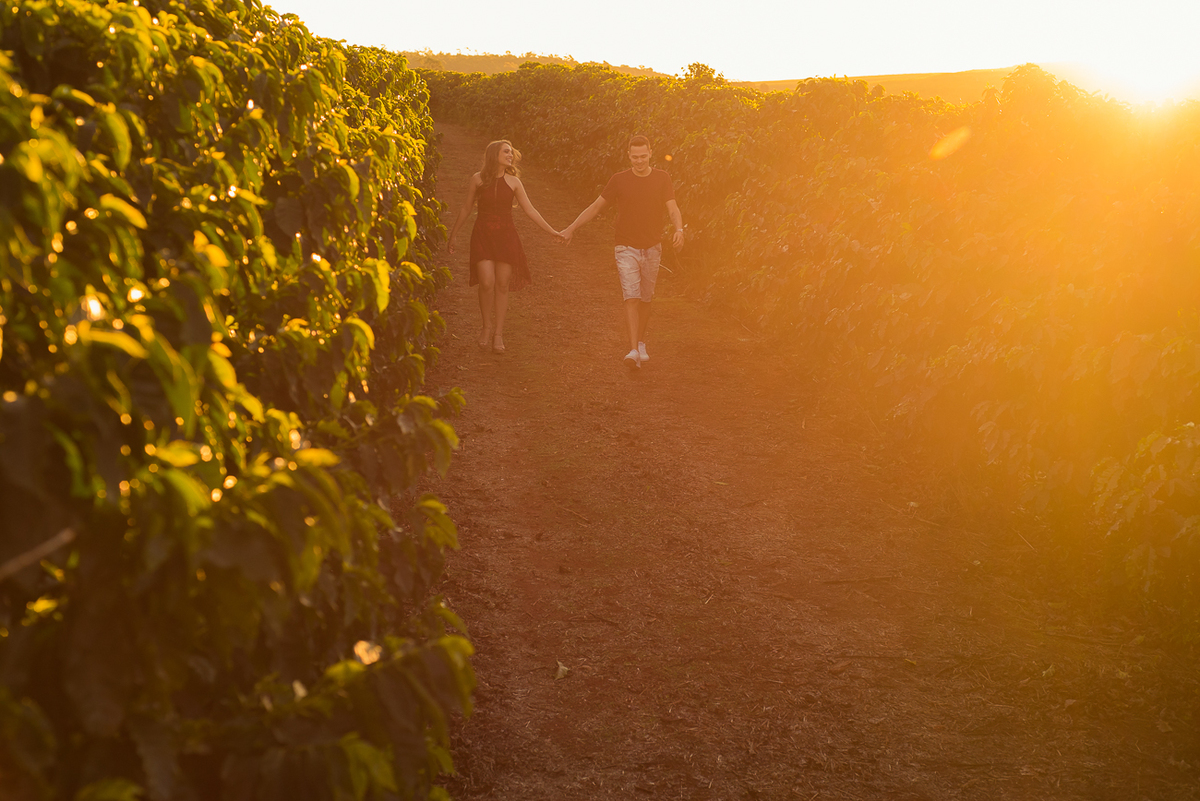 ensaio pre casamento no por do sol na fazenda de café em brotas sp por Ronny Viana