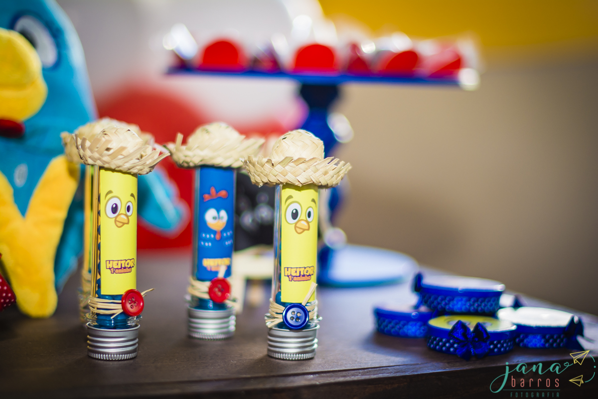 Fotógrafa Jana Barros, fotografia de aniversário infantil, fotografia de aniversário infantil bh, fotografia de aniversario infantil contagem, fotos de aniversário, fotografia de eventos