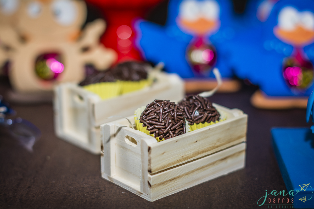 Fotógrafa Jana Barros, fotografia de aniversário infantil, fotografia de aniversário infantil bh, fotografia de aniversario infantil contagem, fotos de aniversário, fotografia de eventos