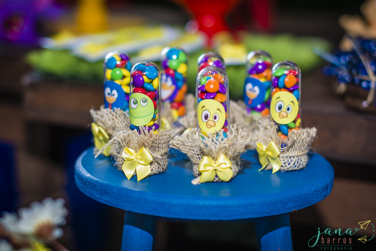 Fotógrafa Jana Barros, fotografia de aniversário infantil, fotografia de aniversário infantil bh, fotografia de aniversario infantil contagem, fotos de aniversário, fotografia de eventos