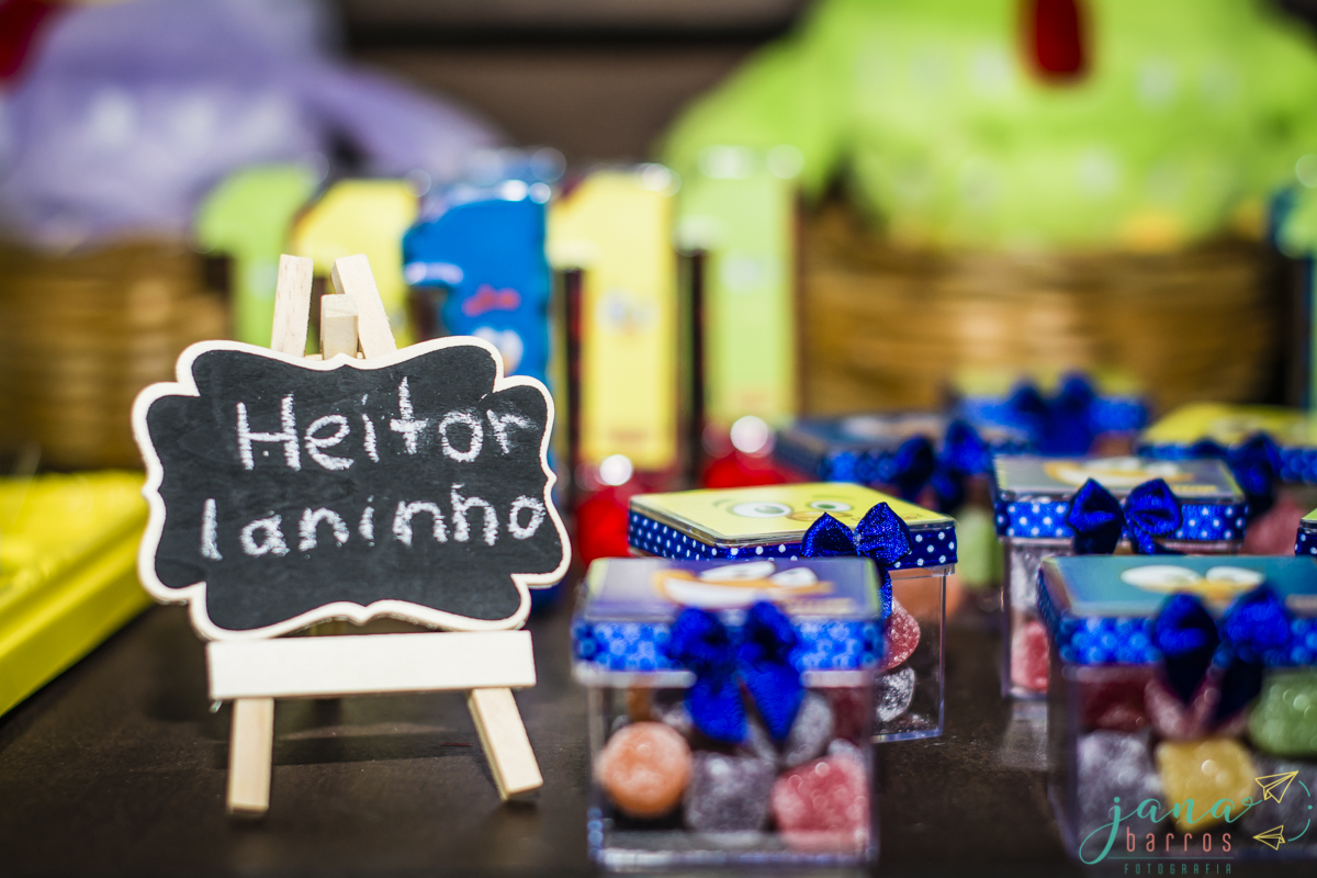Fotógrafa Jana Barros, fotografia de aniversário infantil, fotografia de aniversário infantil bh, fotografia de aniversario infantil contagem, fotos de aniversário, fotografia de eventos