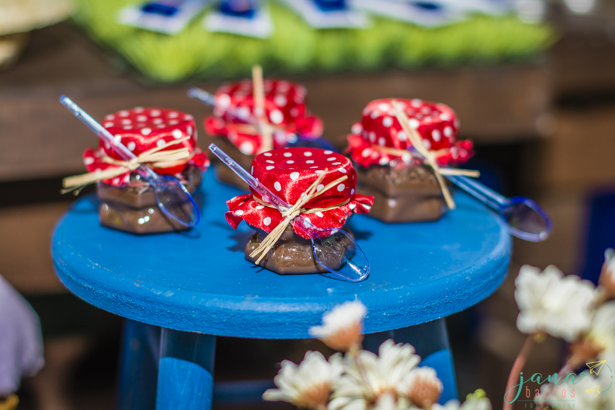 Fotógrafa Jana Barros, fotografia de aniversário infantil, fotografia de aniversário infantil bh, fotografia de aniversario infantil contagem, fotos de aniversário, fotografia de eventos