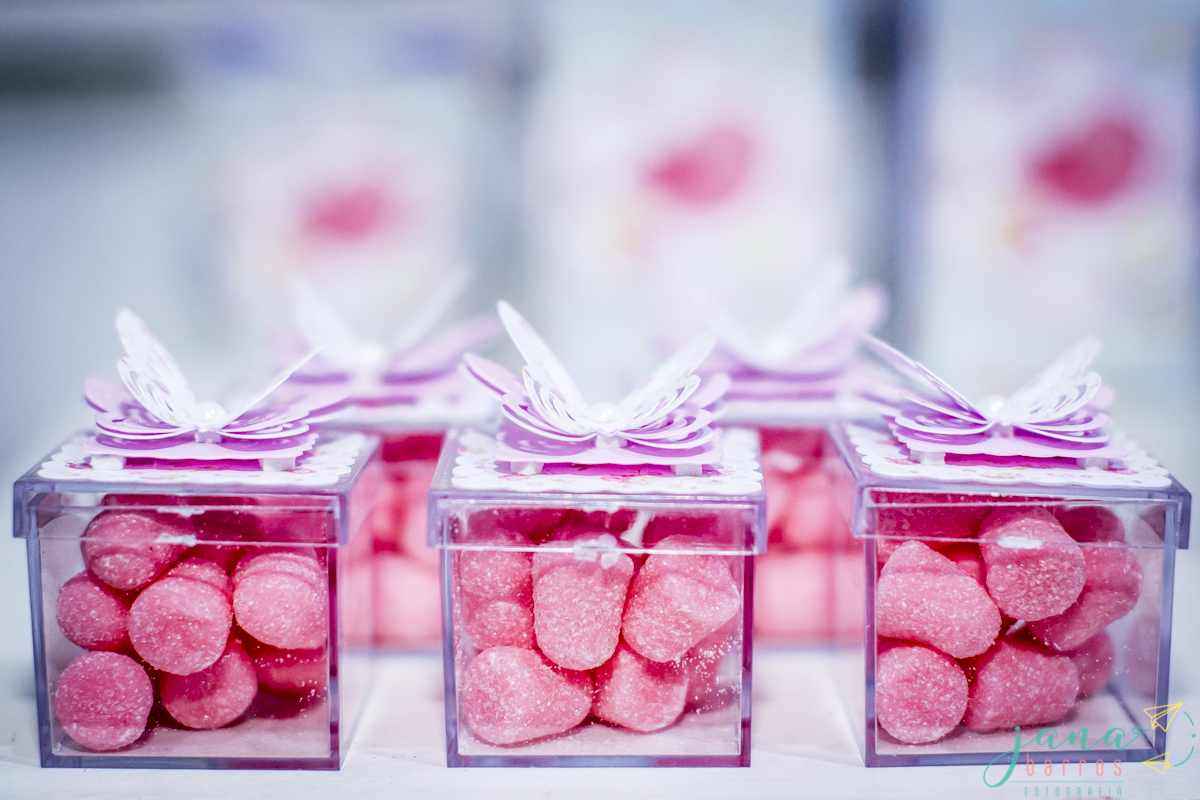 Fotógrafa Jana Barros, fotografia de aniversário infantil, fotografia de aniversário infantil bh, fotografia de aniversario infantil contagem, fotos de aniversário, fotografia de eventos