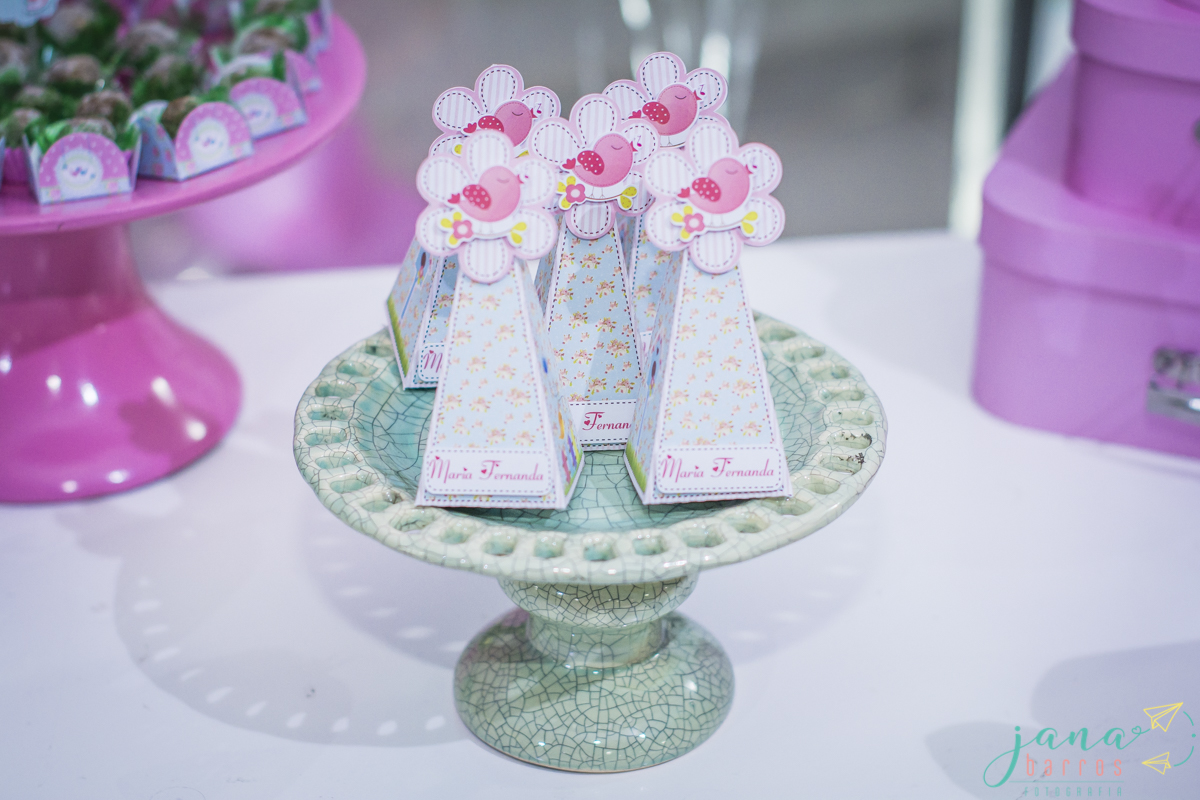 Fotógrafa Jana Barros, fotografia de aniversário infantil, fotografia de aniversário infantil bh, fotografia de aniversario infantil contagem, fotos de aniversário, fotografia de eventos