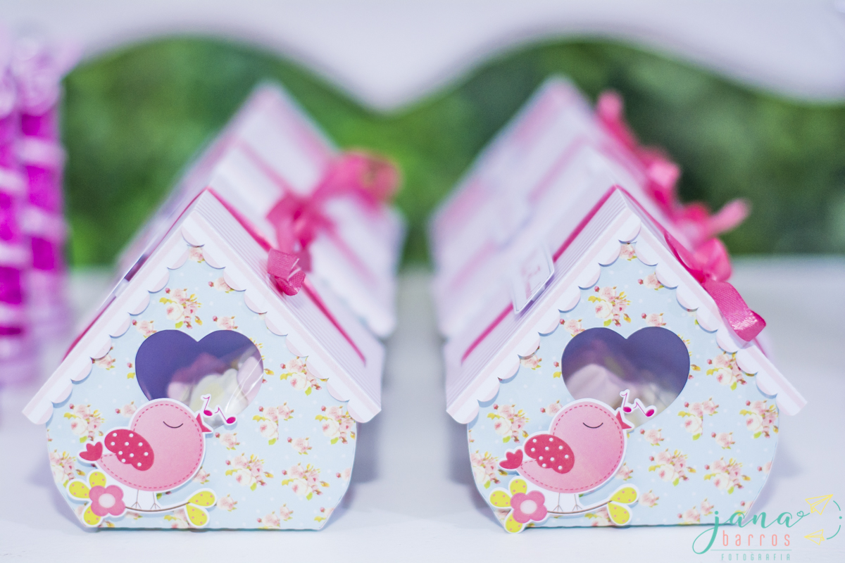 Fotógrafa Jana Barros, fotografia de aniversário infantil, fotografia de aniversário infantil bh, fotografia de aniversario infantil contagem, fotos de aniversário, fotografia de eventos