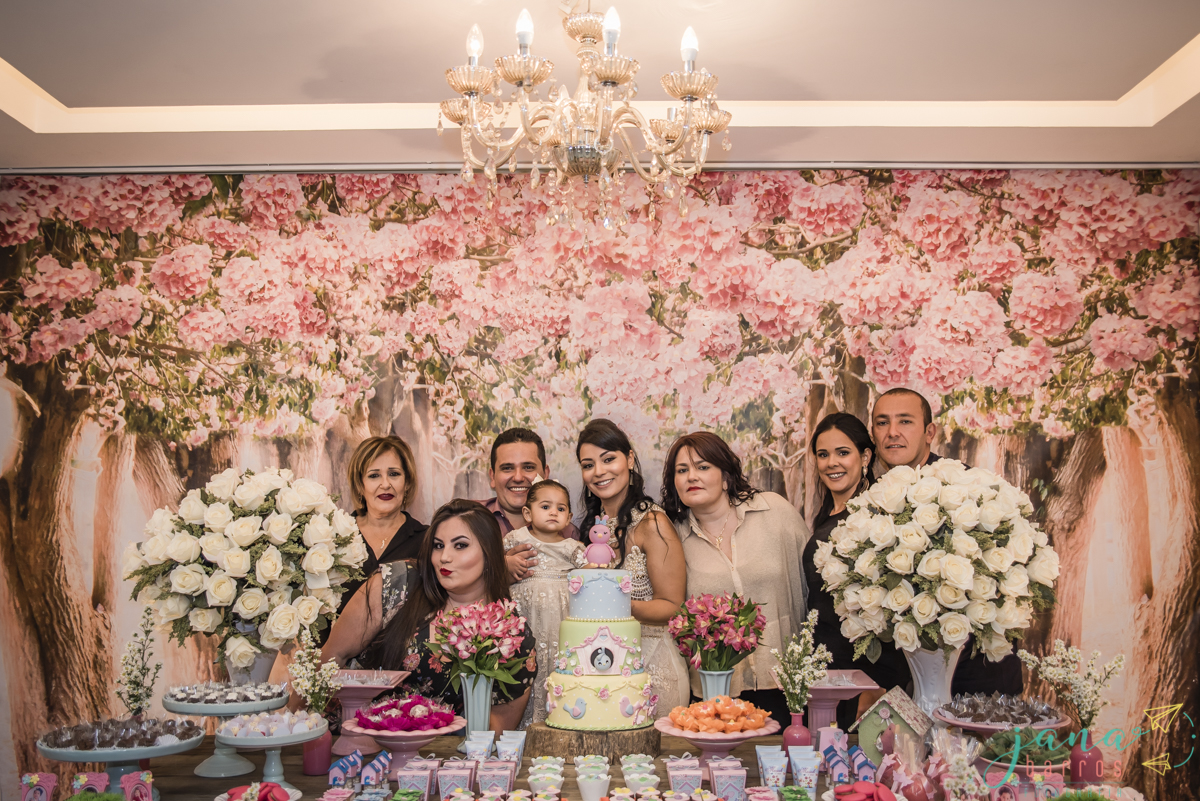 Fotógrafa Jana Barros, fotografia de aniversário infantil, fotografia de aniversário infantil bh, fotografia de aniversario infantil contagem, fotos de aniversário, fotografia de eventos