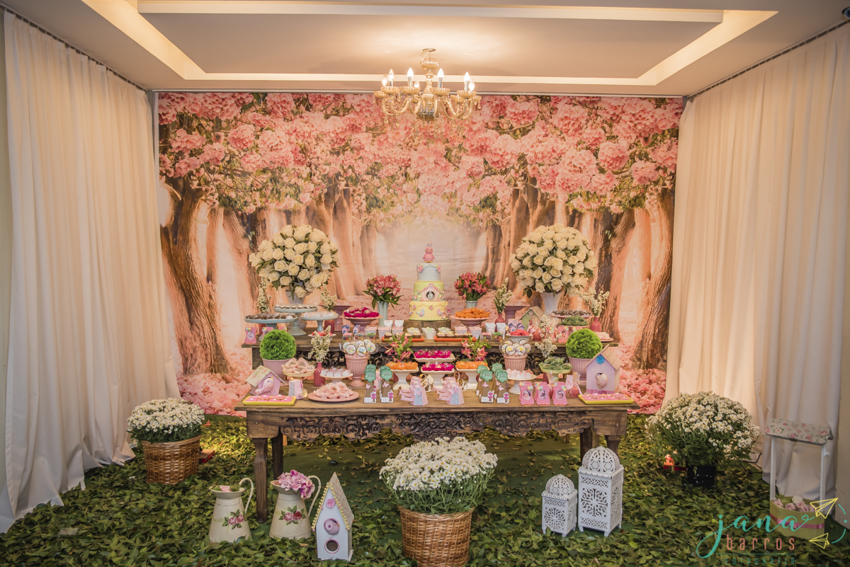 Fotógrafa Jana Barros, fotografia de aniversário infantil, fotografia de aniversário infantil bh, fotografia de aniversario infantil contagem, fotos de aniversário, fotografia de eventos