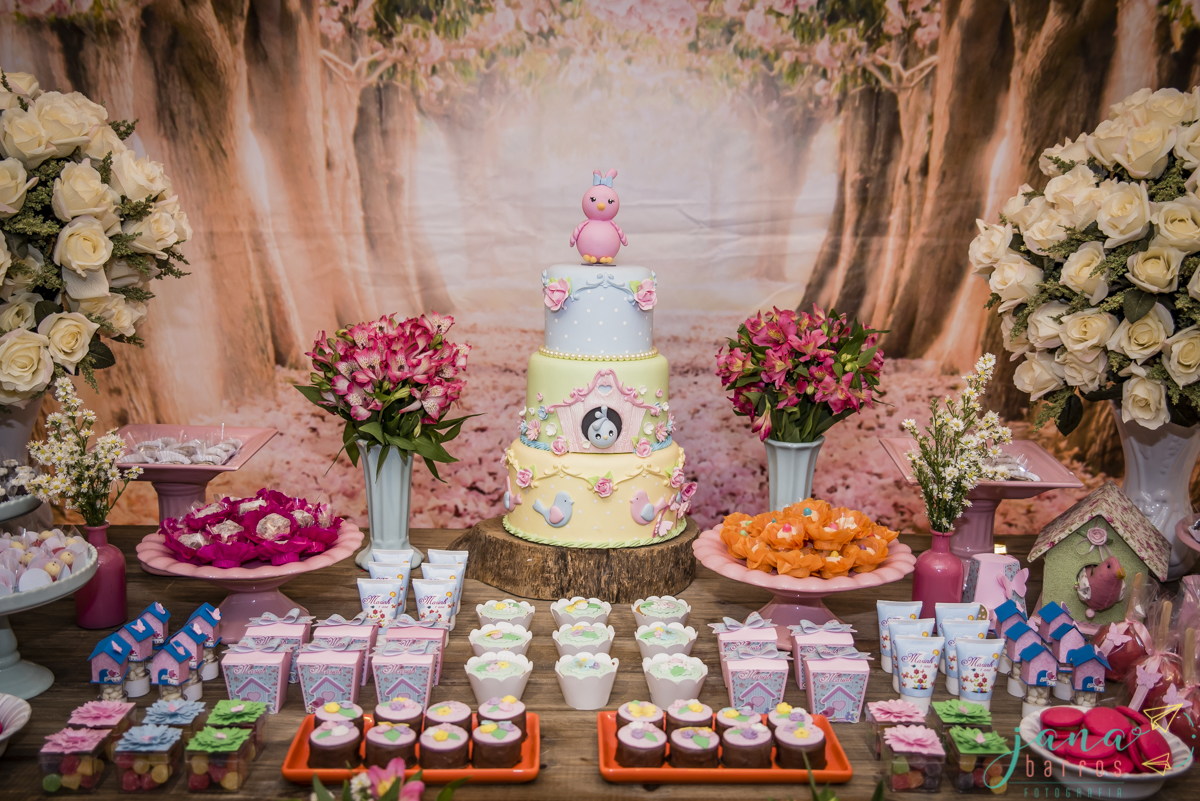 Fotógrafa Jana Barros, fotografia de aniversário infantil, fotografia de aniversário infantil bh, fotografia de aniversario infantil contagem, fotos de aniversário, fotografia de eventos