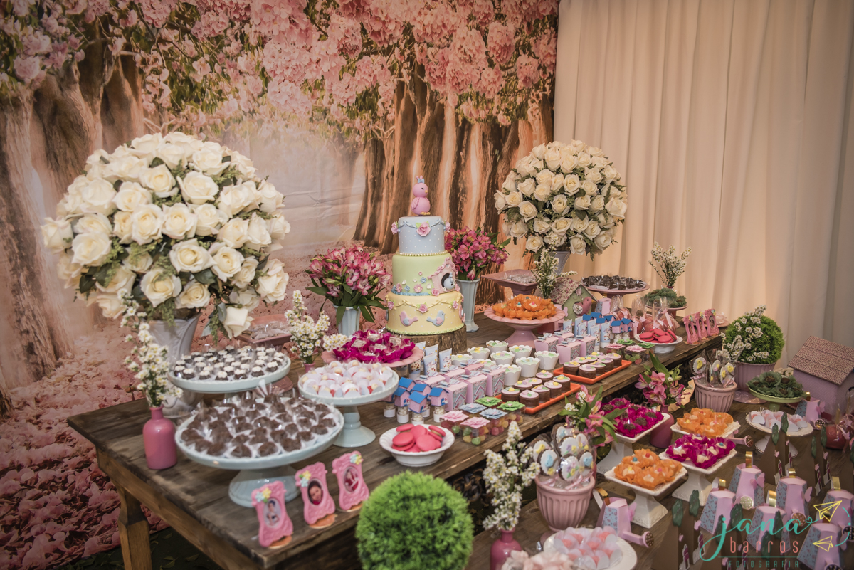 Fotógrafa Jana Barros, fotografia de aniversário infantil, fotografia de aniversário infantil bh, fotografia de aniversario infantil contagem, fotos de aniversário, fotografia de eventos