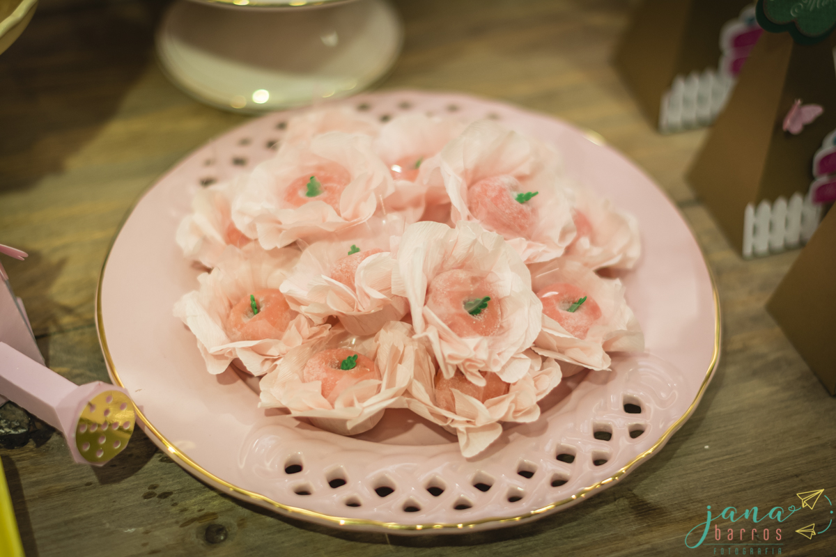 Fotógrafa Jana Barros, fotografia de aniversário infantil, fotografia de aniversário infantil bh, fotografia de aniversario infantil contagem, fotos de aniversário, fotografia de eventos