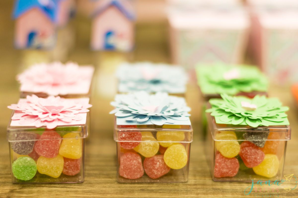 Fotógrafa Jana Barros, fotografia de aniversário infantil, fotografia de aniversário infantil bh, fotografia de aniversario infantil contagem, fotos de aniversário, fotografia de eventos