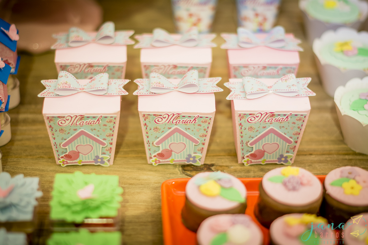 Fotógrafa Jana Barros, fotografia de aniversário infantil, fotografia de aniversário infantil bh, fotografia de aniversario infantil contagem, fotos de aniversário, fotografia de eventos