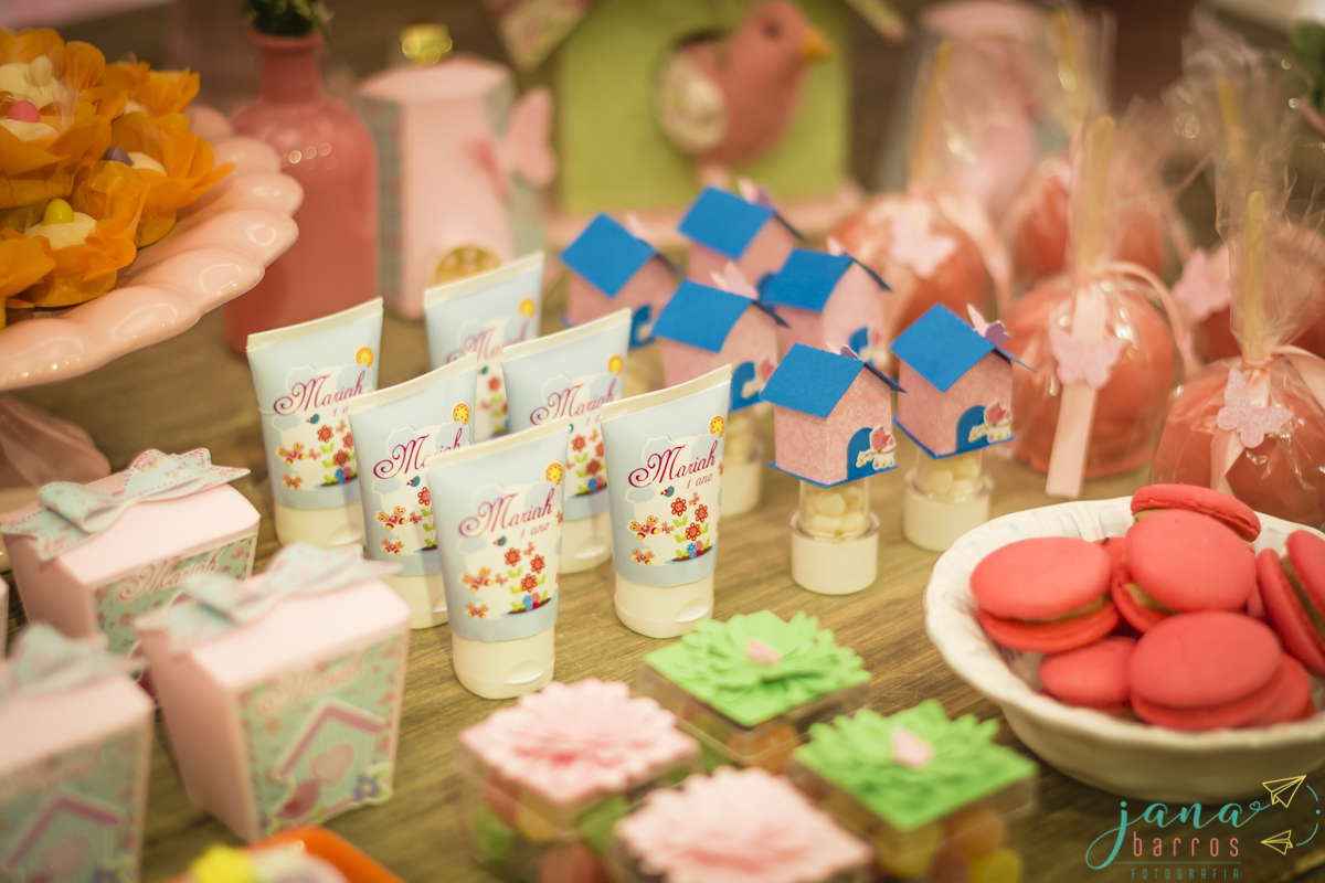 Fotógrafa Jana Barros, fotografia de aniversário infantil, fotografia de aniversário infantil bh, fotografia de aniversario infantil contagem, fotos de aniversário, fotografia de eventos