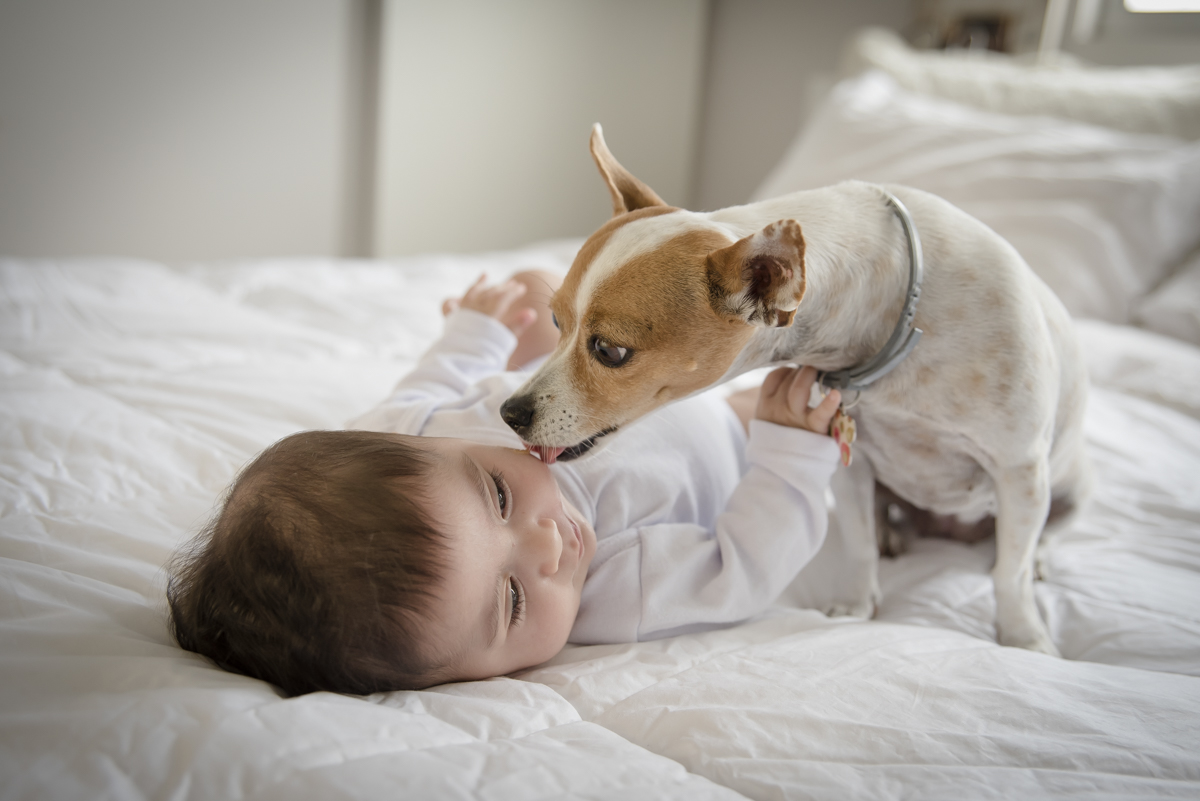 lifestyle, ensaio familia lifestyle, ensaio newborn lifestyle, lifestyle bh