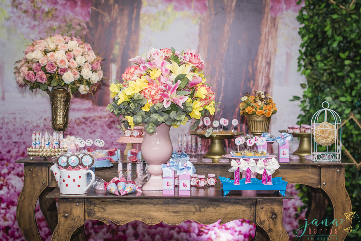 Fotógrafa Jana Barros, fotografia de aniversário infantil, fotografia de aniversário infantil bh, fotografia de aniversario infantil contagem, fotos de aniversário, fotografia de eventos