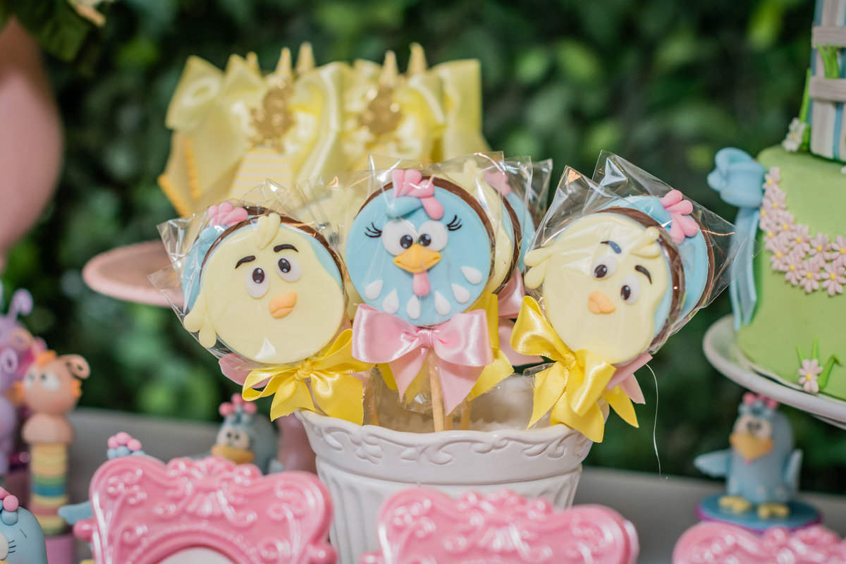 Fotógrafa Jana Barros, fotografia de aniversário infantil, fotografia de aniversário infantil bh, fotografia de aniversario infantil contagem, fotos de aniversário, fotografia de eventos