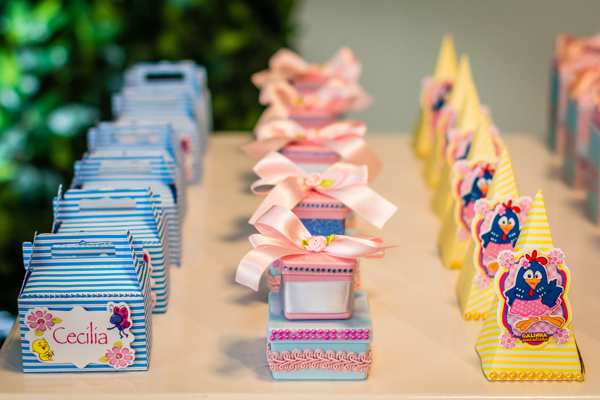 Fotógrafa Jana Barros, fotografia de aniversário infantil, fotografia de aniversário infantil bh, fotografia de aniversario infantil contagem, fotos de aniversário, fotografia de eventos