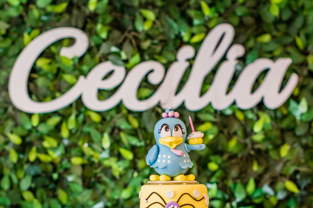 Fotógrafa Jana Barros, fotografia de aniversário infantil, fotografia de aniversário infantil bh, fotografia de aniversario infantil contagem, fotos de aniversário, fotografia de eventos