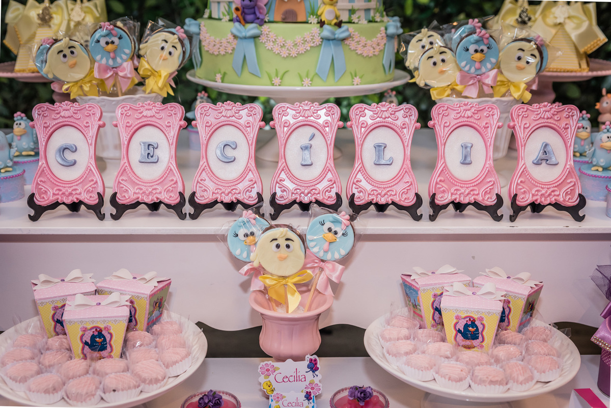 Fotógrafa Jana Barros, fotografia de aniversário infantil, fotografia de aniversário infantil bh, fotografia de aniversario infantil contagem, fotos de aniversário, fotografia de eventosq