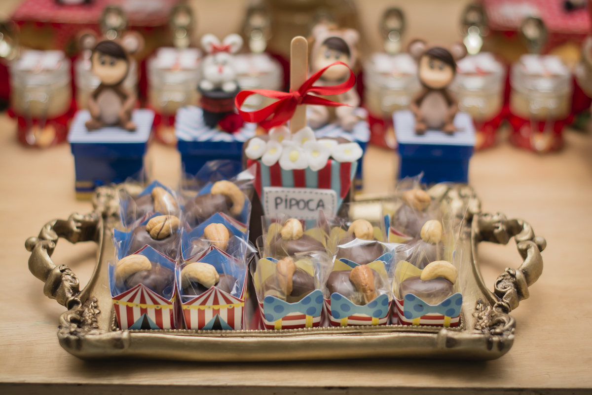 aniversário infantil, festa infantil, fotografo bh, fotografa bh, circo menina, fotografo de eventos, festa infantil bh, festa infantil contagem, fotografo de festa infantil, festa infantil contagem, festa infantil betim, fotografo de familia