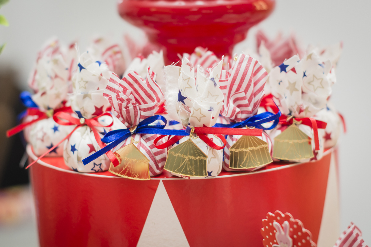 aniversário infantil, festa infantil, fotografo bh, fotografa bh, circo menina, fotografo de eventos, festa infantil bh, festa infantil contagem, fotografo de festa infantil, festa infantil contagem, festa infantil betim, fotografo de familia