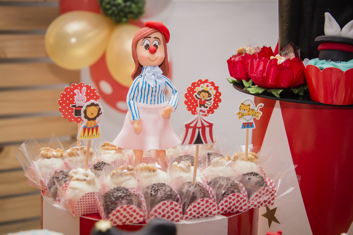 aniversário infantil, festa infantil, fotografo bh, fotografa bh, circo menina, fotografo de eventos, festa infantil bh, festa infantil contagem, fotografo de festa infantil, festa infantil contagem, festa infantil betim, fotografo de familia