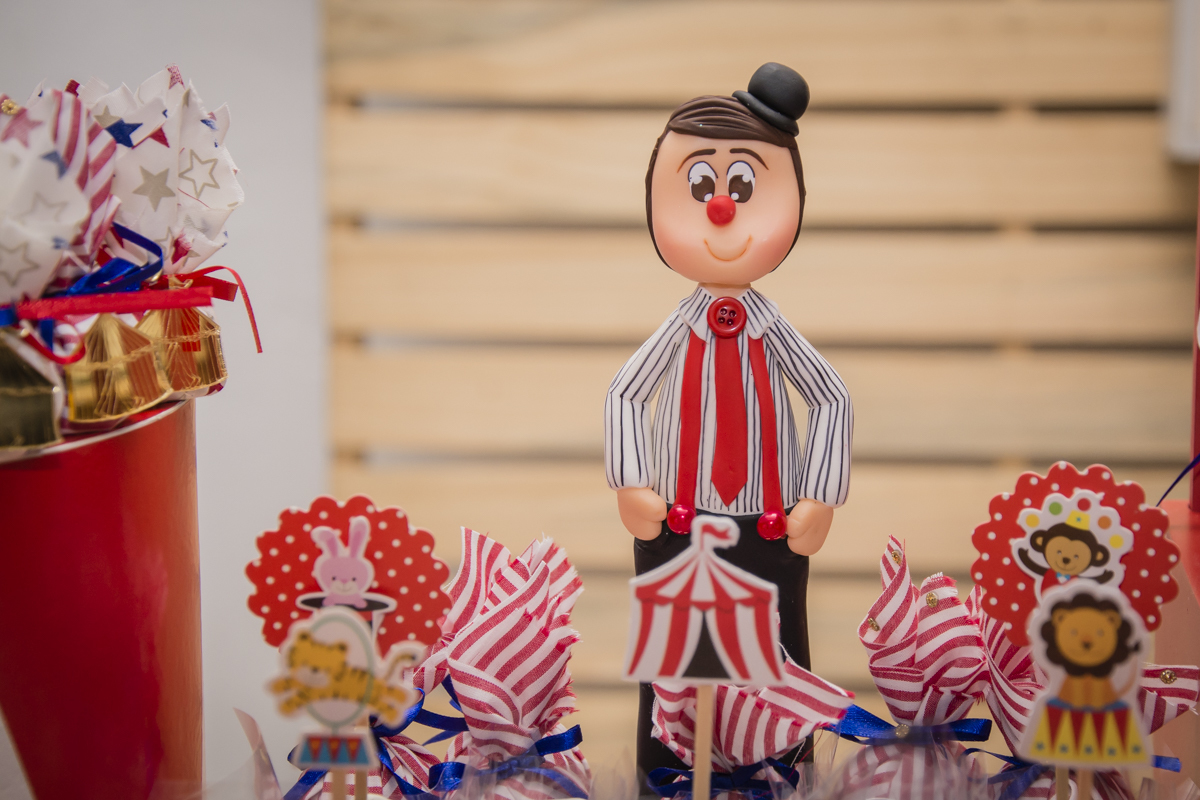 aniversário infantil, festa infantil, fotografo bh, fotografa bh, circo menina, fotografo de eventos, festa infantil bh, festa infantil contagem, fotografo de festa infantil, festa infantil contagem, festa infantil betim, fotografo de familia