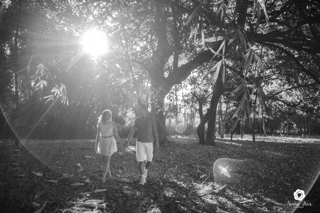 Casal de noivos, Dayene e Júnior, flare próximo as àrvores em Dourados - MS, Sinhá Flor Fotografia