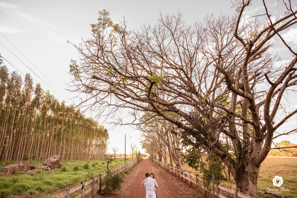 Casal de noivos, Daniele e Thiago, abraçados no meio da estrada com árvores secas em Dourados - MS, Sinhá Flor Fotografia