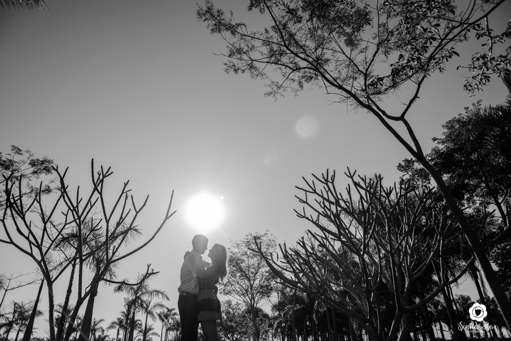 Casal de noivos, Carina e Rodolfo, silhueta com noivos próximo a cactus em Itaporã - MS, Sinhá Flor Fotografia
