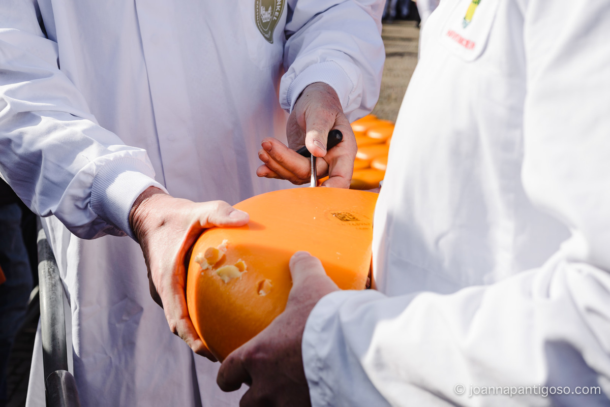 Alkmaar cheese market, kaasmarkt, de waag, the netherlands, nederland, photographer