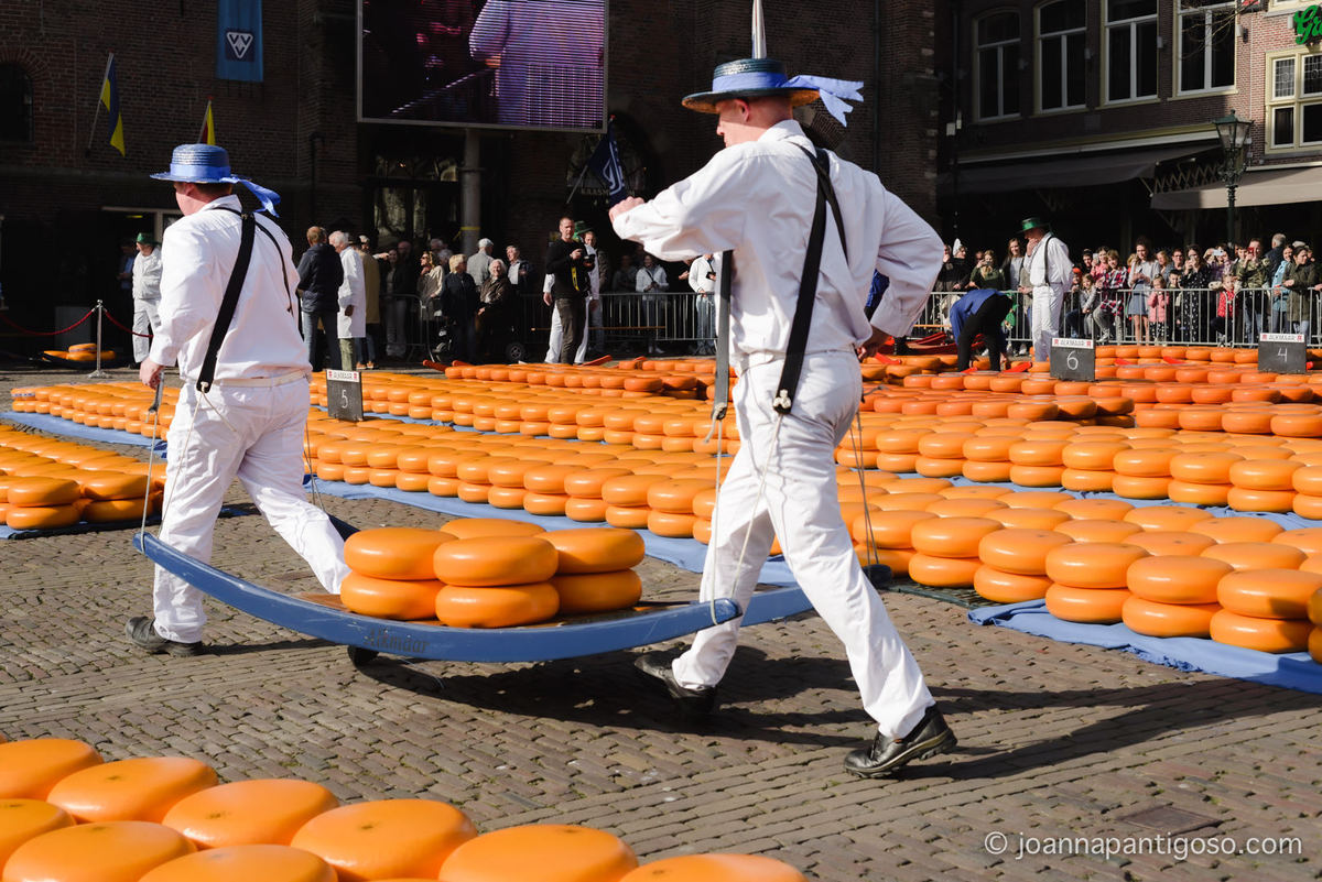 Alkmaar cheese market, kaasmarkt, de waag, the netherlands, nederland, photographer