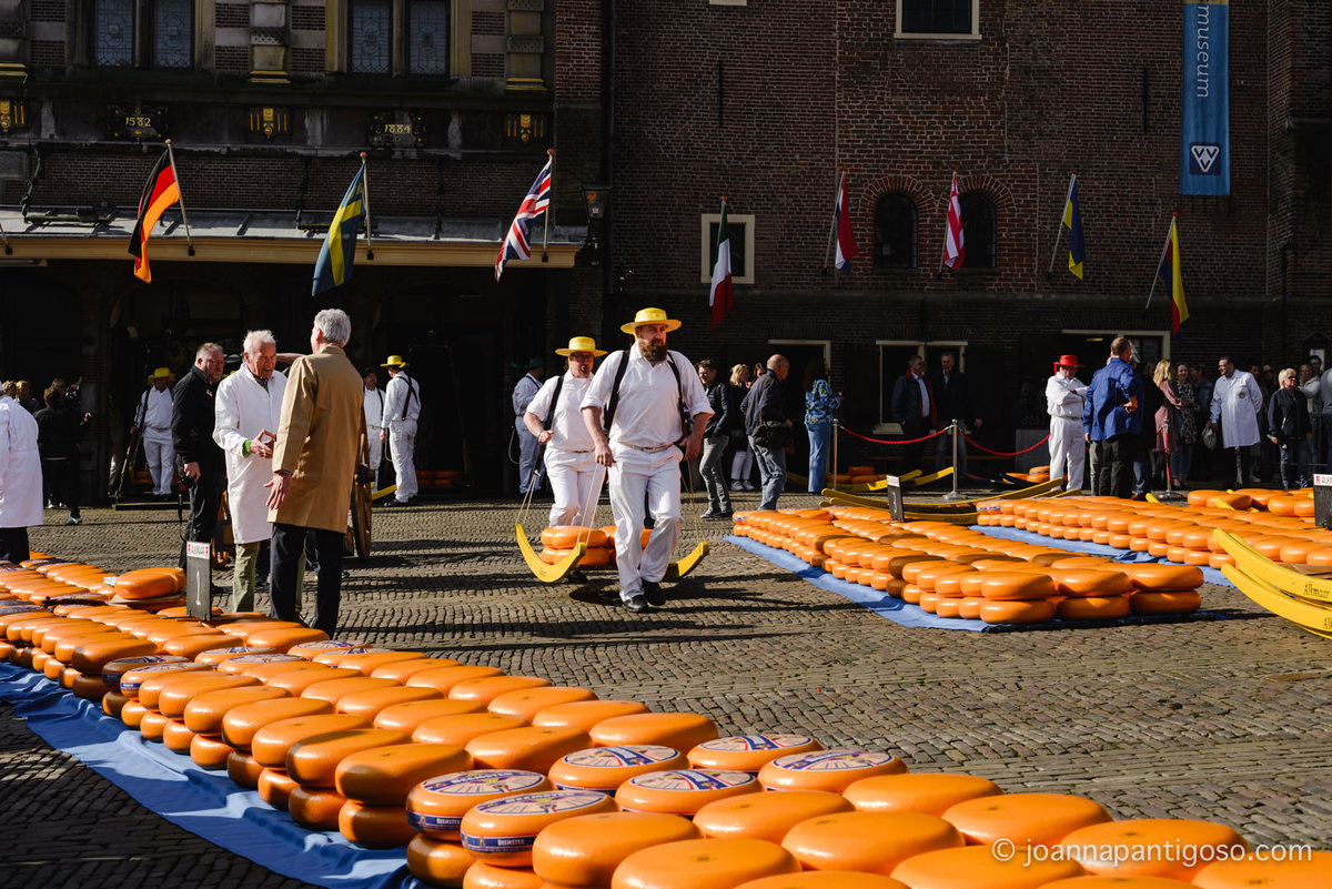Alkmaar cheese market, kaasmarkt, de waag, the netherlands, nederland, photographer