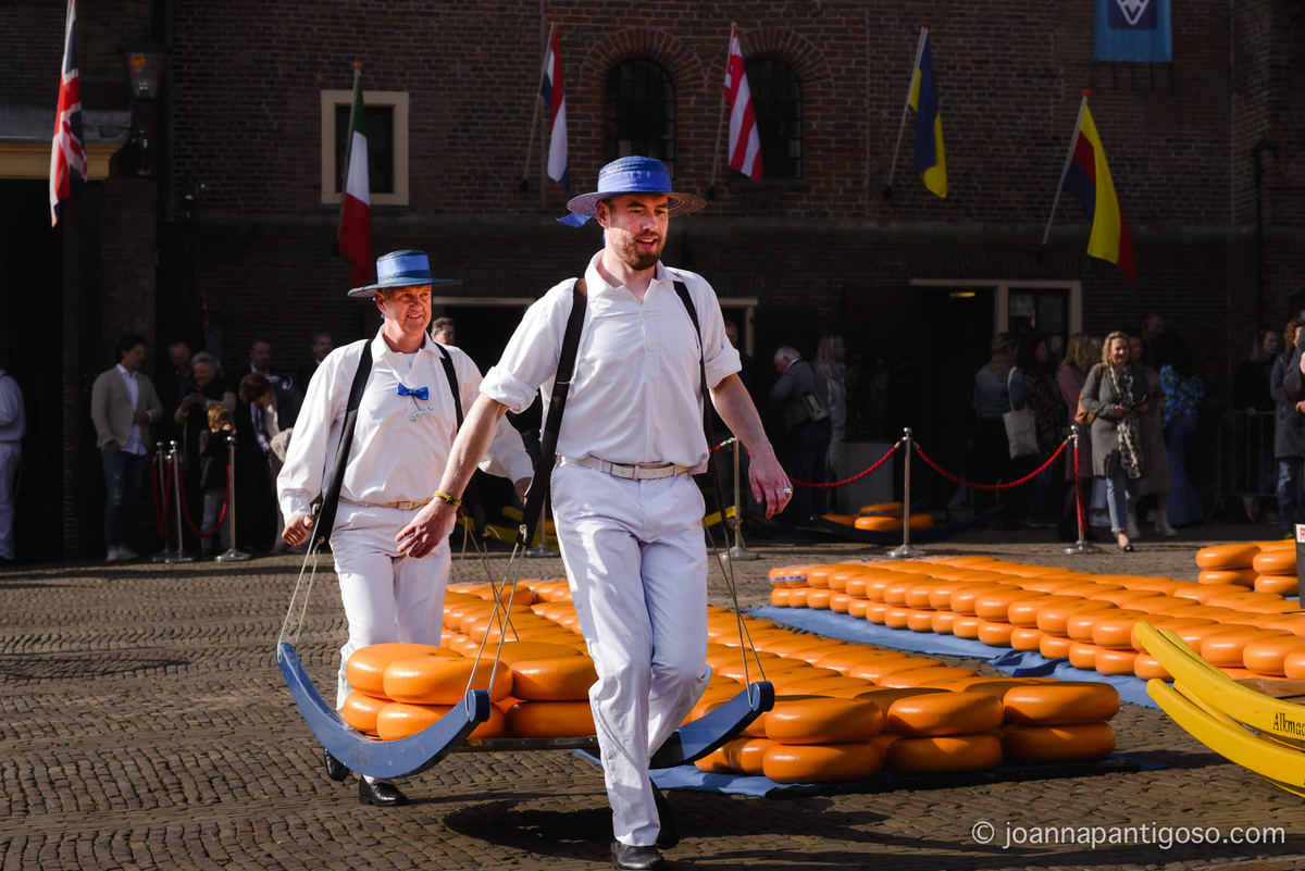 Alkmaar cheese market, kaasmarkt, de waag, the netherlands, nederland, photographer