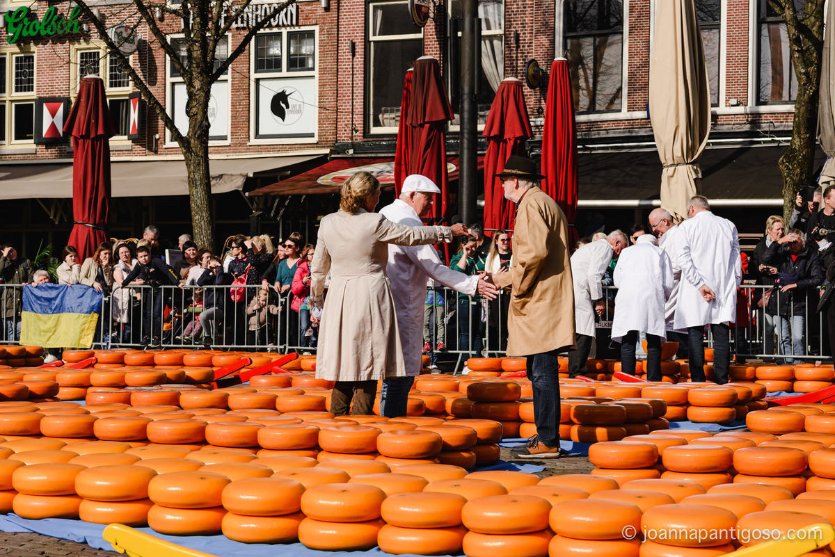 Alkmaar cheese market, kaasmarkt, de waag, the netherlands, nederland, photographer