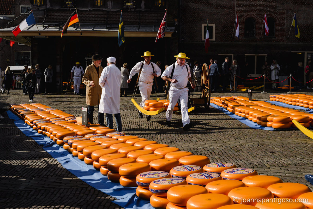 Alkmaar cheese market, kaasmarkt, de waag, the netherlands, nederland, photographer