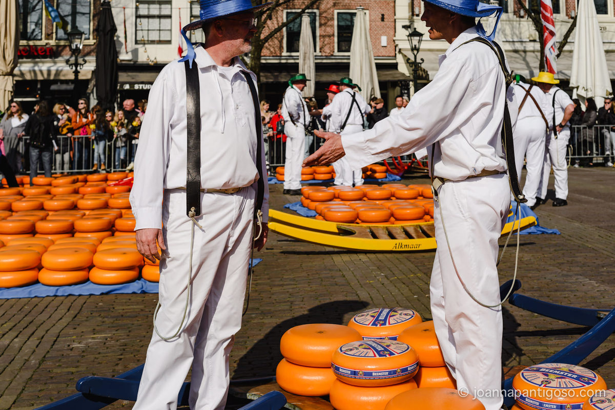 Alkmaar cheese market, kaasmarkt, de waag, the netherlands, nederland, photographer