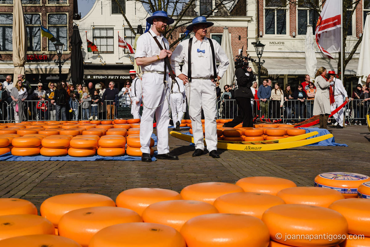 Alkmaar cheese market, kaasmarkt, de waag, the netherlands, nederland, photographer