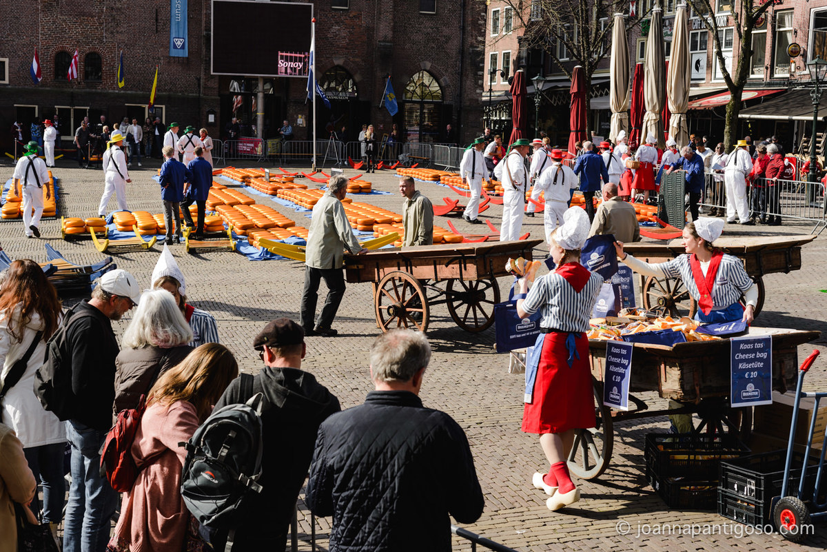 Alkmaar cheese market, kaasmarkt, de waag, the netherlands, nederland, photographer