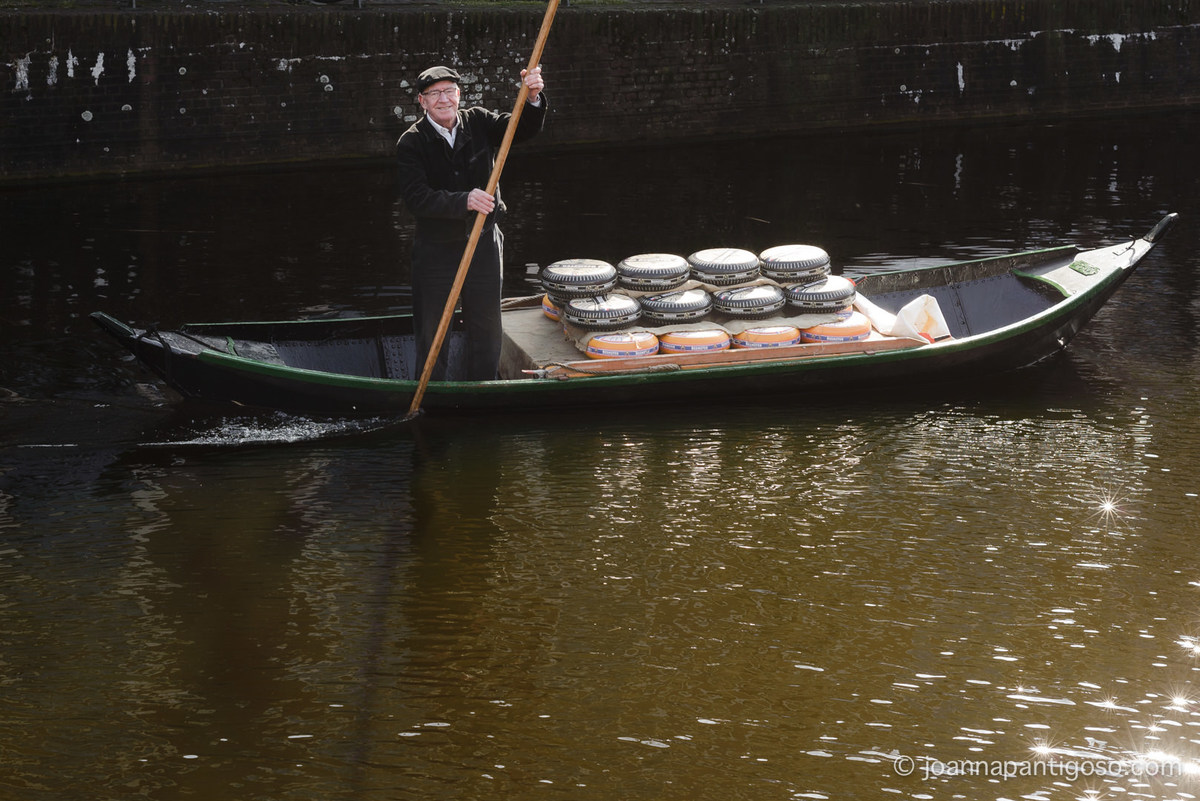 Alkmaar cheese market, kaasmarkt, de waag, the netherlands, nederland, photographer