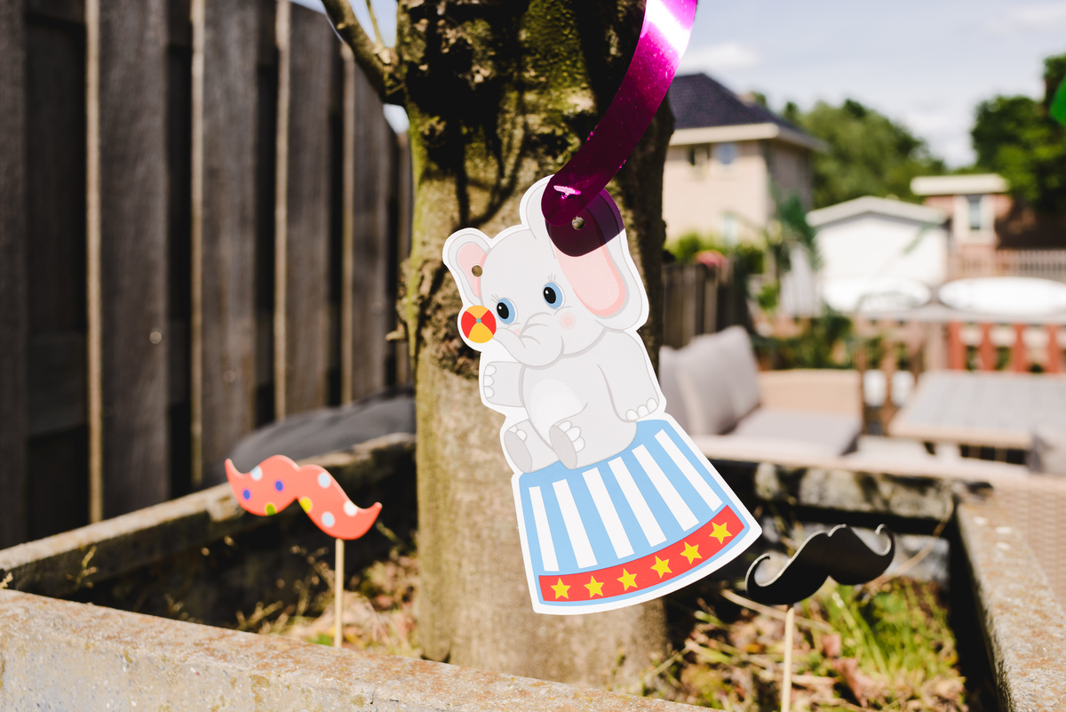 birthday party, verjaardag, almere, the netherlands, event photographer, family photographer, gezinsfotografie, joanna pantigoso