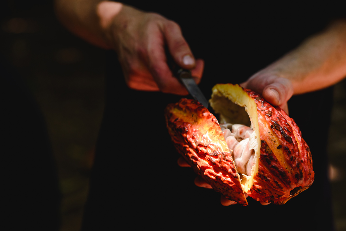 Barry callebaut trip to Peru, cacao collective, business trip, business documentary