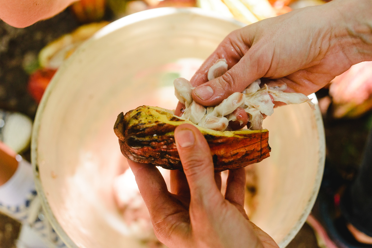 Barry callebaut trip to Peru, cacao collective, business trip, business documentary